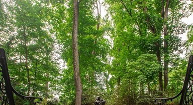 furey memorial