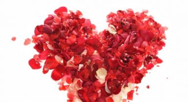 heart shape made of rose petals